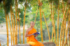 _660309_เตรียมบวช-58 - ณัฐพงศ์ วิภาวิน (ปก) ขนาดใหญ่.jpeg